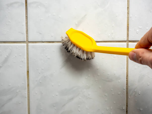Office Mold Removal Services in Chetopa, KS
