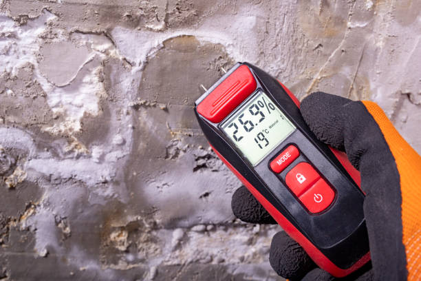 Best Mold Removal Company Near Me  in Chetopa, KS