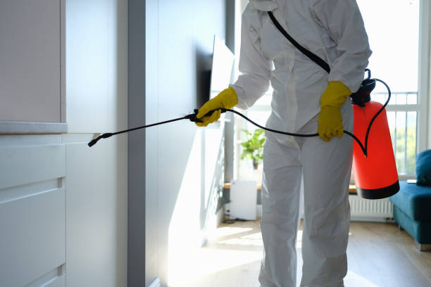 Best Mold Damage Repair  in Chetopa, KS