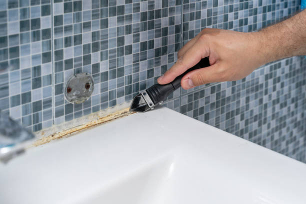 Mold Testing and Removal in Chetopa, KS